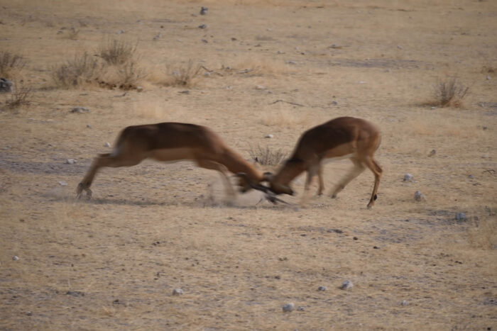 6K photo shutter speed