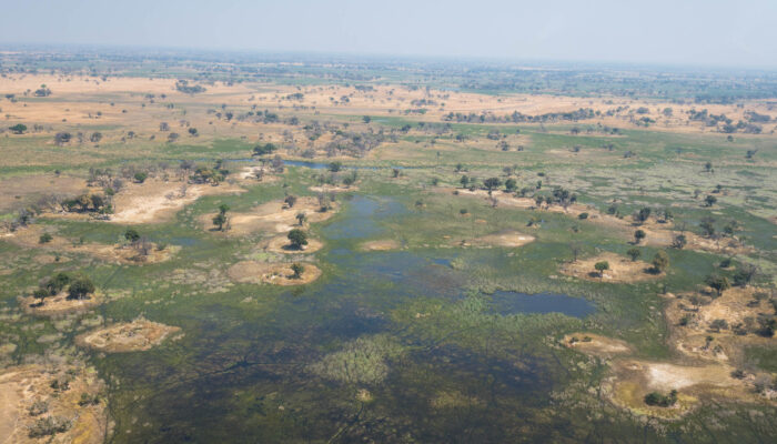 The Okavango Delta: Africa’s Garden of Eden.
