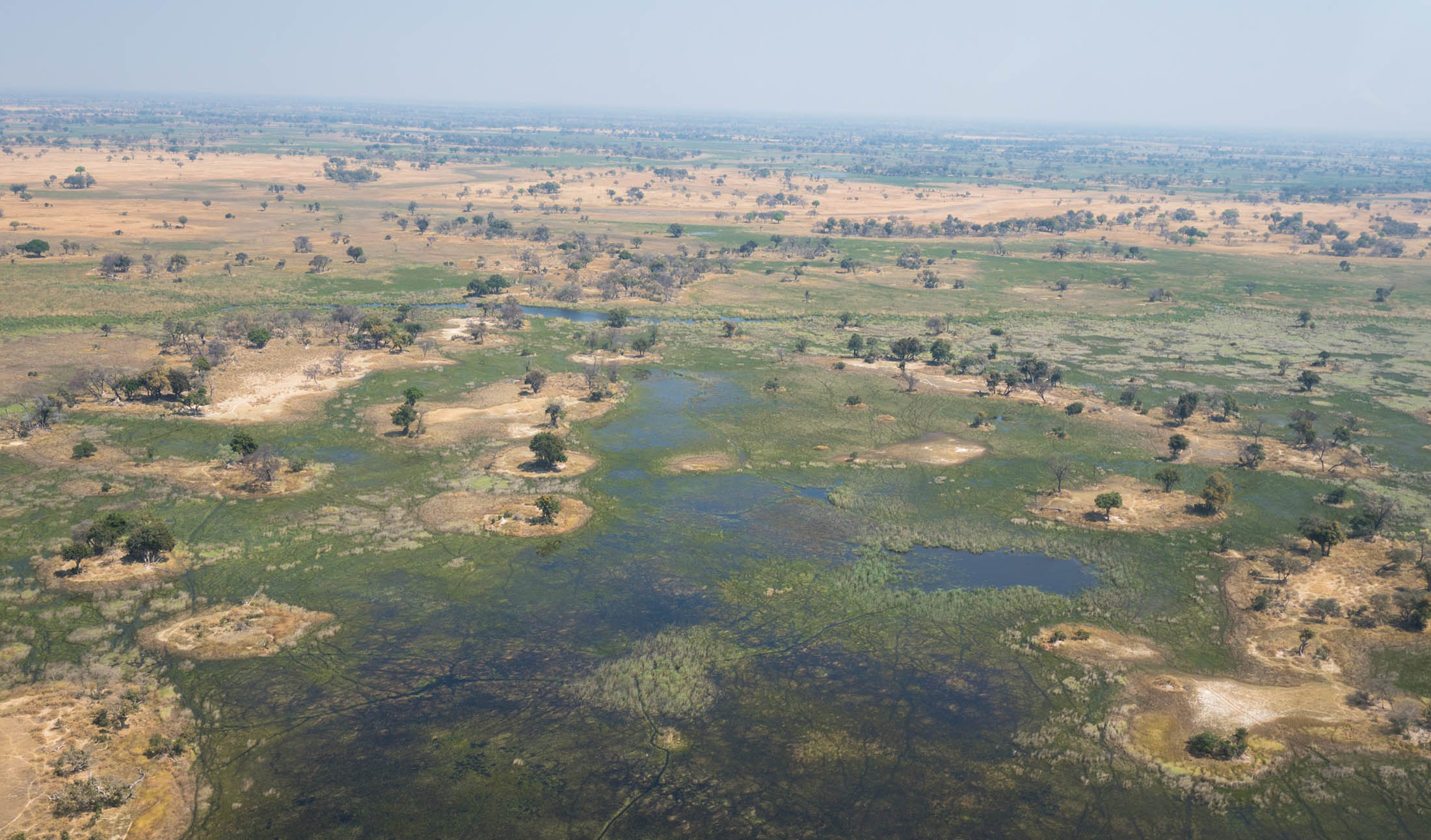 The Okavango Delta: Africa’s Garden of Eden.