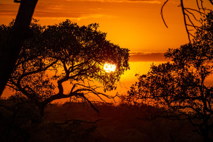 Kruger National Park