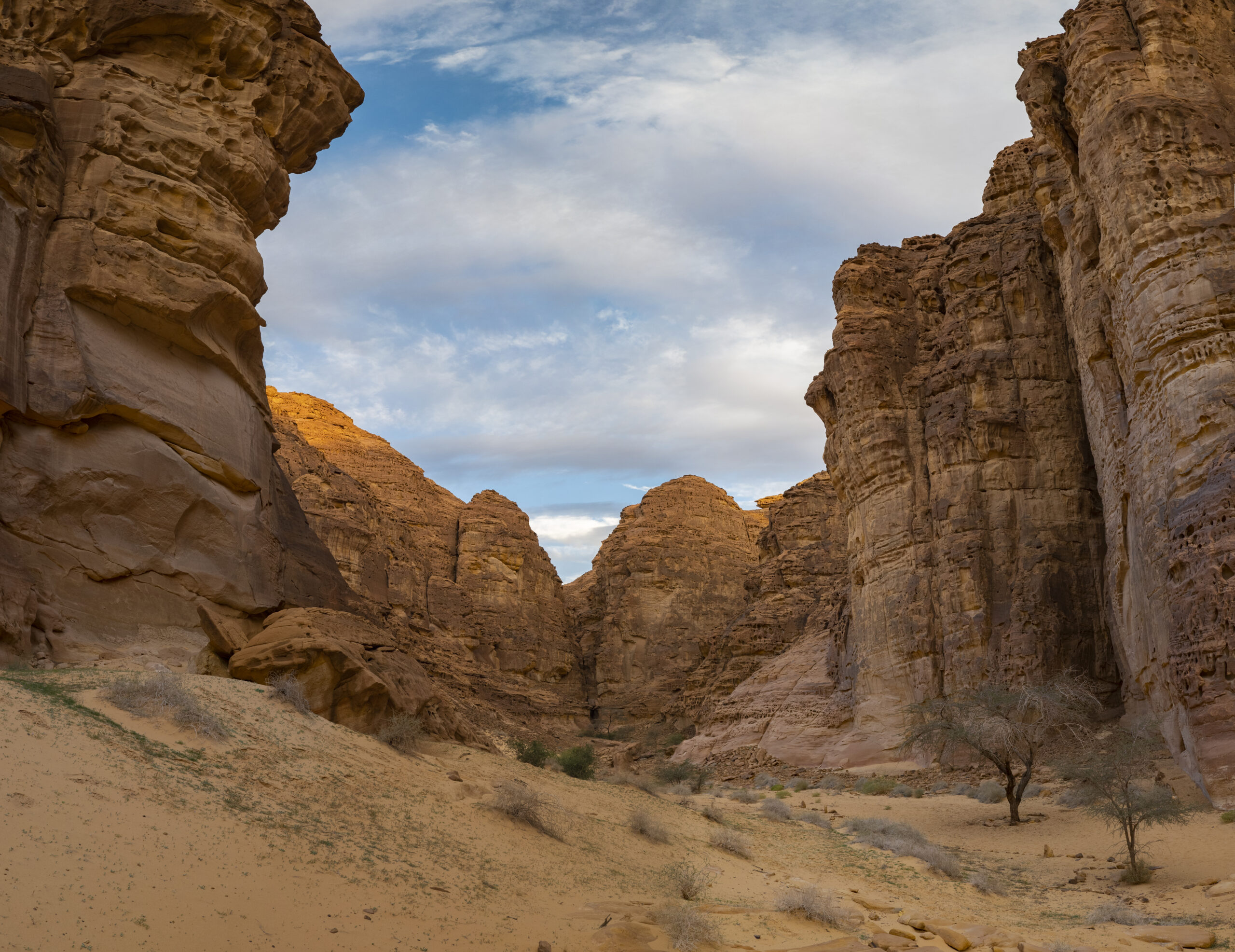 Al-Ula-Pan22 | Matthew Starling Photography