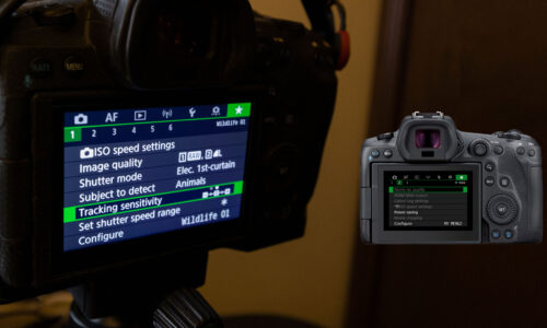 Canon Quick Menu Setup